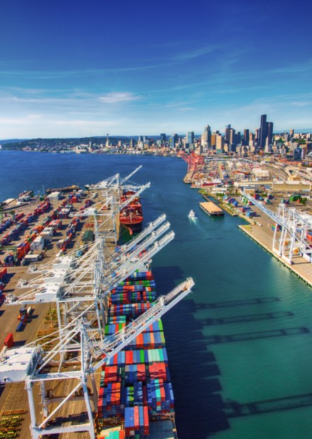 harbor Seattle with ships possibly needing a maritime lawyer